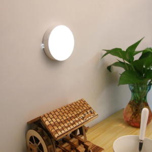 Motion Sensor Lights®